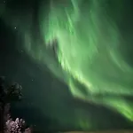 Magical Nava Path