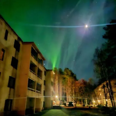 Magical Nava Path Rovaniemi