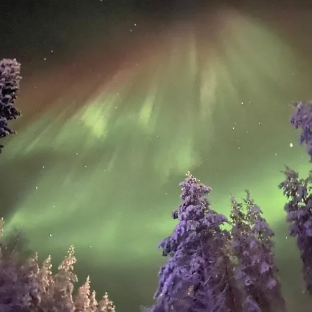 Magical Nava Path * Rovaniemi