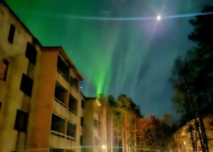 Magical Nava Path Rovaniemi