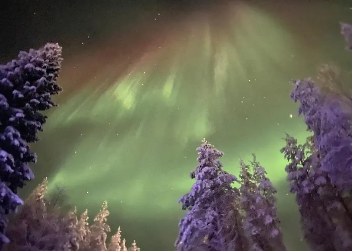 Magical Nava Path * Rovaniemi